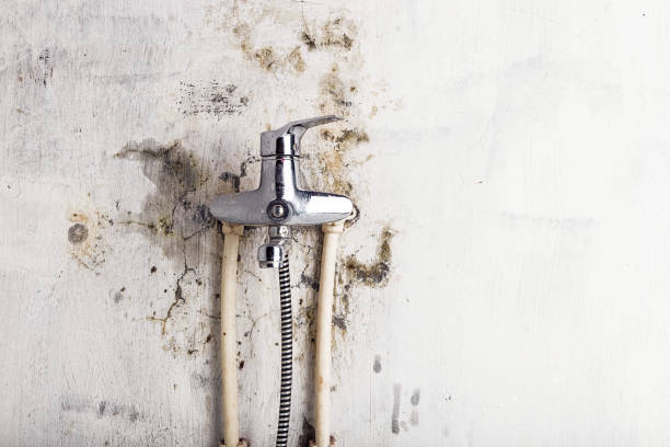 Best Mold Remediation for Schools in Sandy Hook, CT