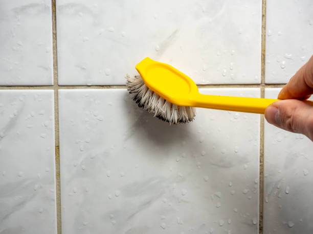 Best Health and Safety Mold Remediation in Sandy Hook, CT