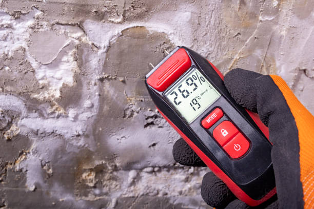 Best Mold Testing and Inspection Services in Sandy Hook, CT