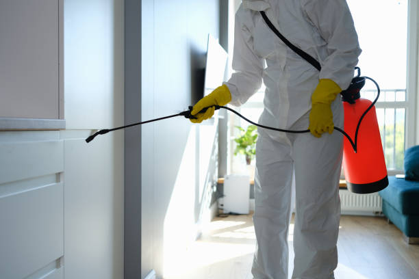 Best Post-Remediation Services in Sandy Hook, CT